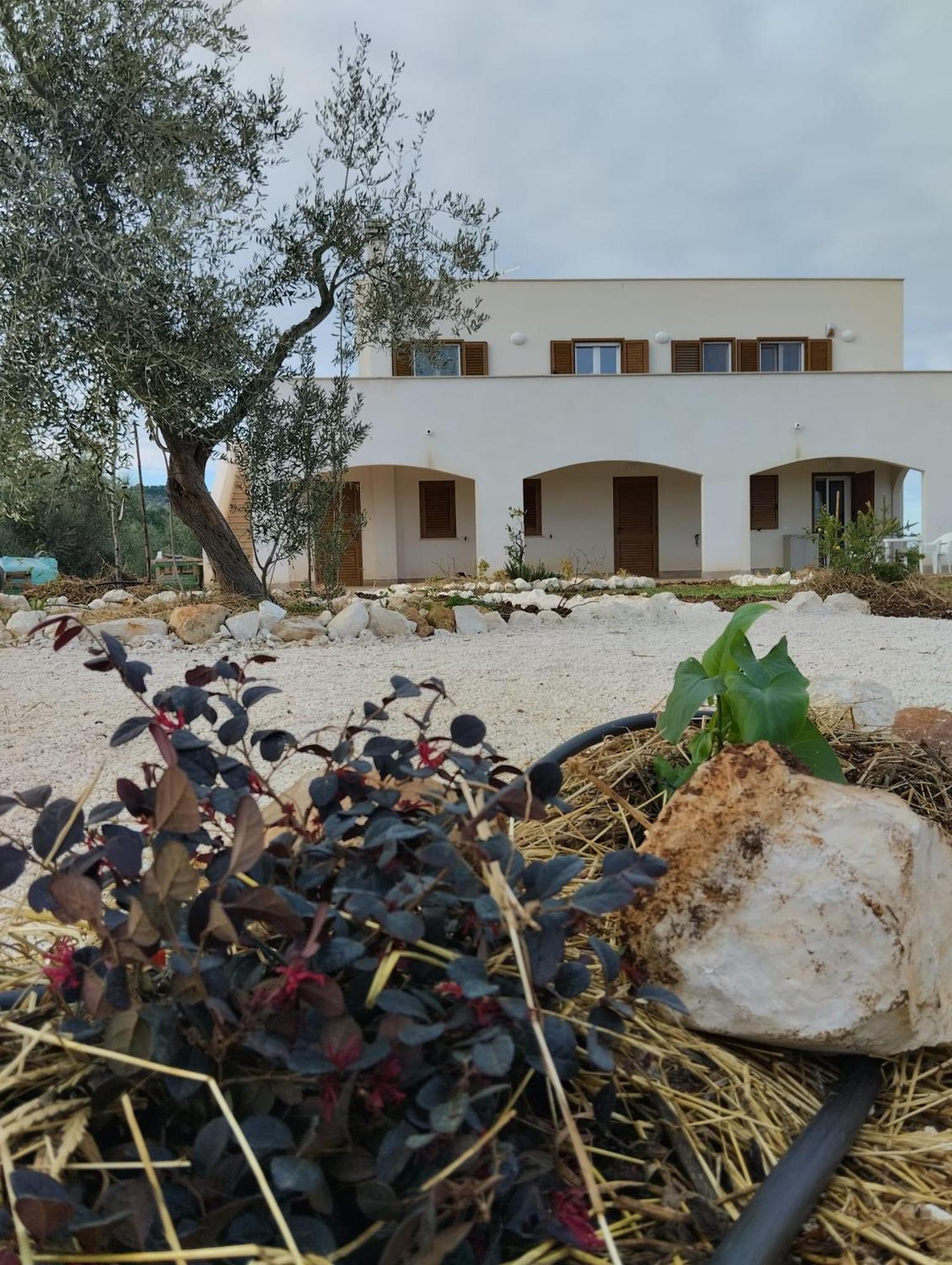 Borgo Rosoli Vieste Extérieur photo